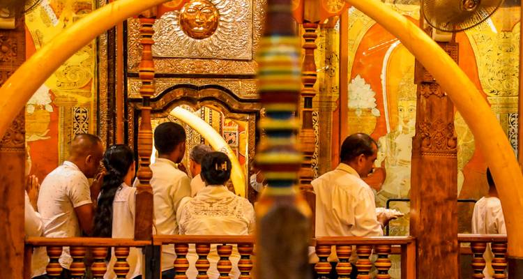 Historical Wonders of Sri Lanka Family Tour, Daily Departure - Agate Travel 8