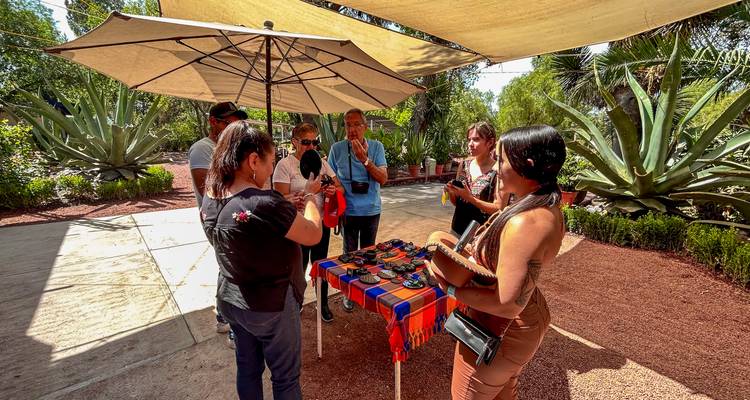 The Best of Mexico City: Teotihuacan, Basilica of Guadalupe, Xochimilco, Coyoacan & Frida Kahlo Museum - Amigo Tours 7