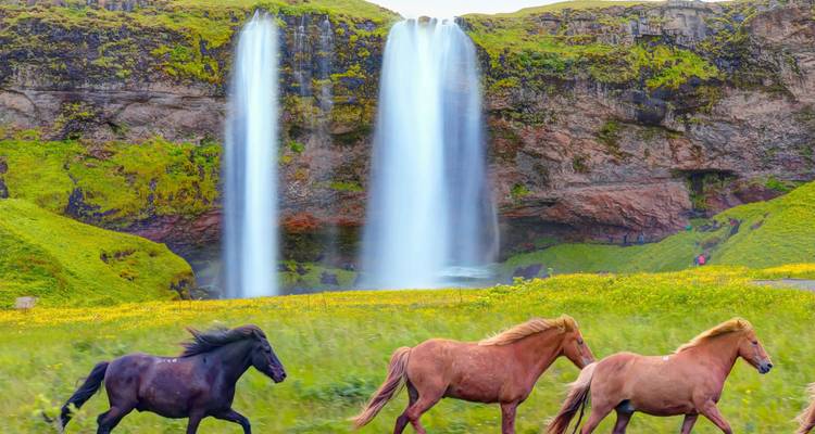 Magical Blue Lagoon & Iceland Northern Lights  - Expeditions Gateways 10