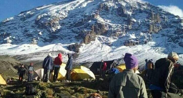 Ruta Lemosho de 7 días - Lo mejor para la aclimatación y el paisaje - Kilimanjaro Wonders Expedition Safari 2