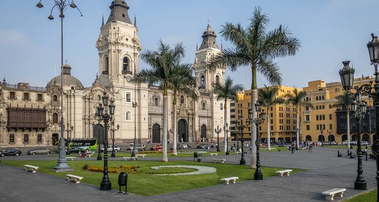 Sabores de Lima: Una aventura culinaria - Signature DMC 2