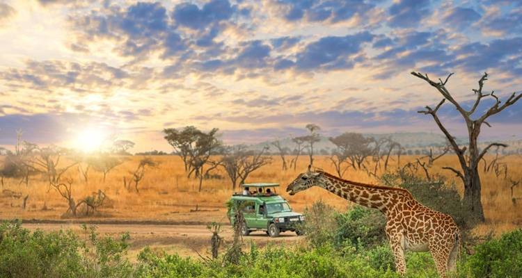 Safari de 5 días por la naturaleza - Kilimanjaro Wonders Expedition Safari 1