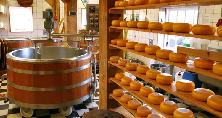 Intérieur d'une fromagerie suisse avec des cuves en bois et des rangées de meules de fromage affinées
