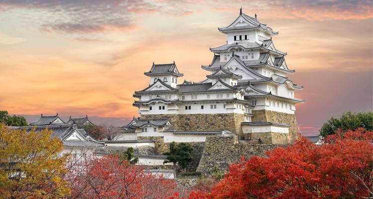 Arômes du Japon 2025-2026 - Tomato Travel 1