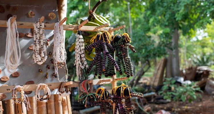 Aventure de 5 jours à Bohol et Siquijor - Abraham Tours Philippines 7