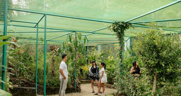 Aventure de 5 jours à Bohol et Siquijor - Abraham Tours Philippines 10