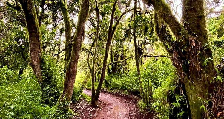 Ruta Marangu (6 días) - Kilimanjaro Wonders Expedition Safari 2