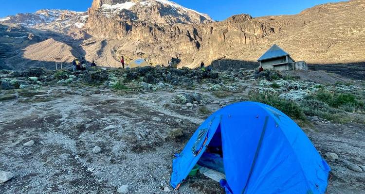 Ruta Marangu (6 días) - Kilimanjaro Wonders Expedition Safari 3