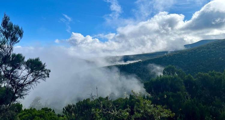 Ruta Marangu de 6 días - Kilimanjaro Wonders Expedition Safari 3