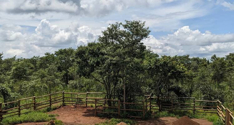 Experiencia de Safari en el Parque Nacional de Lusaka - Media Jornada - Lochinvar Safaris 2