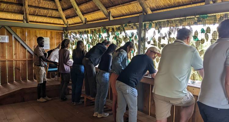 Experiencia de Safari en el Parque Nacional de Lusaka - Media Jornada - Lochinvar Safaris 3