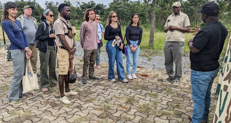 Experiencia de Safari en el Parque Nacional de Lusaka - Media Jornada - Lochinvar Safaris 4