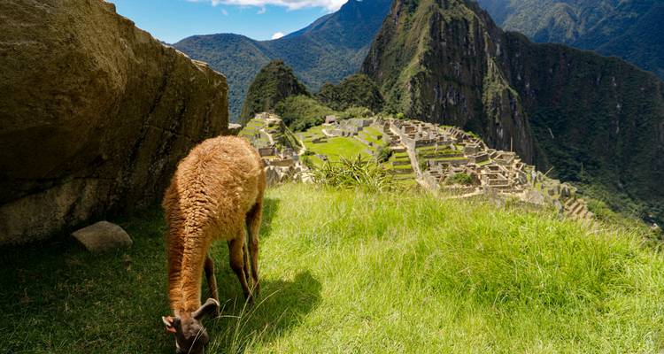 La Magia de Perú: 7 Días de Cultura, Aventura y Maravilla - Signature DMC 1