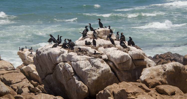 Afrique du Sud et Namibie : road trip dans le désert à la rencontre des Big Five - journaway DACH 9