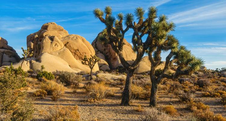 Rêver de la Californie : Canyons, Casinos & Coastal Vibes ! (21 destinations) - journaway 3