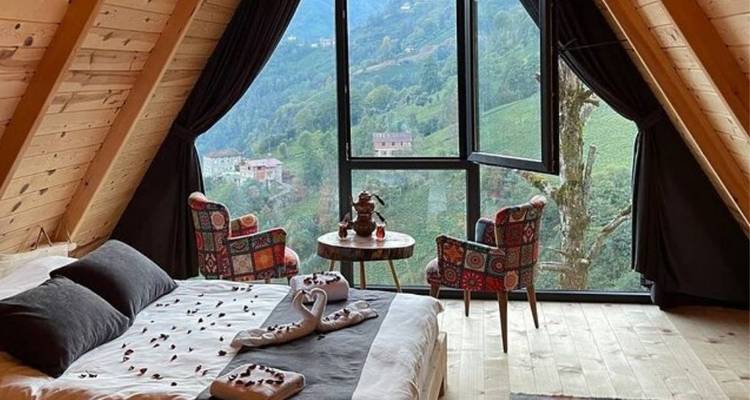 Stylish accommodation interior with panoramic window view of the forest.
