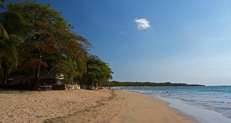 Costa Rica: Paraíso de Bosques y Fauna, Excursión en Grupo Pequeño - Destination Services Costa Rica 8