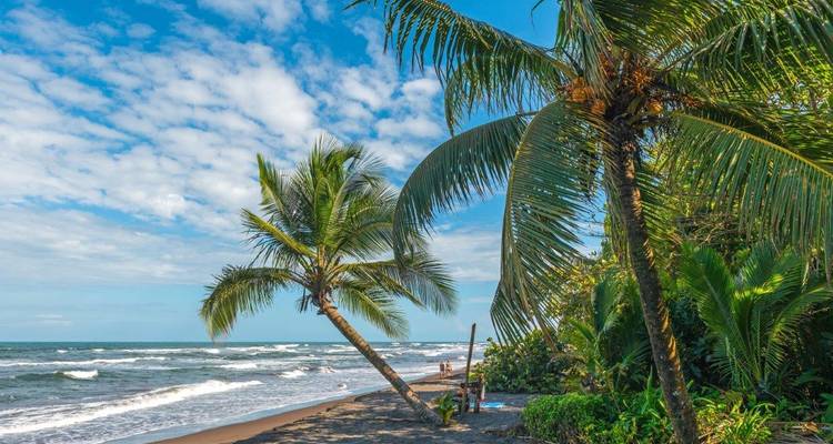 Costa Rica: Paraíso de Bosques y Fauna, Excursión en Grupo Pequeño - Destination Services Costa Rica 7