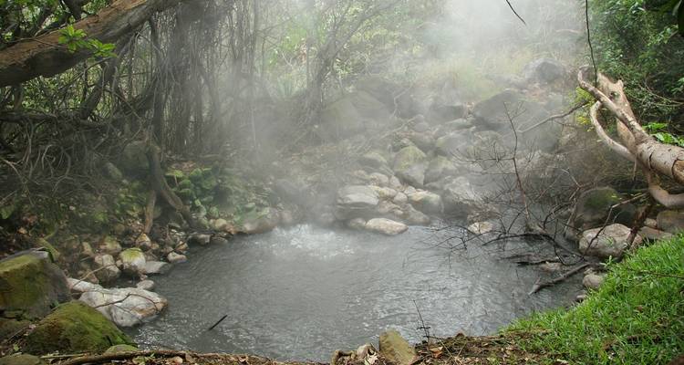 Costa Rica: Paraíso de Bosques y Fauna, Excursión en Grupo Pequeño - Destination Services Costa Rica 4