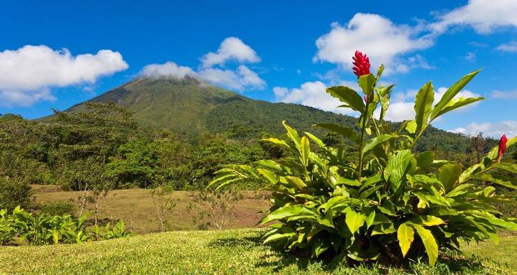 Costa Rica: Paraíso de Bosques y Fauna, Excursión en Grupo Pequeño - Destination Services Costa Rica 2