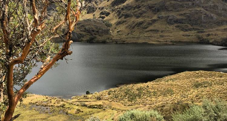 Circuito de 19 días Encuentros Sudamericanos - GUIDEcuador Travel 8