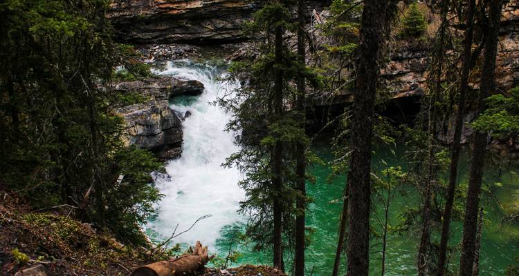 Excursión de 6 días por el Oeste de Canadá con VIA Rail | BC y Rocosas (2 desayunos de cortesía en el Hotel de las Rocosas) - Calgary Tours 3