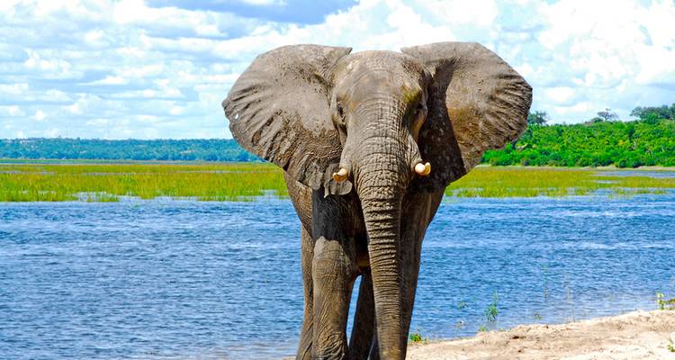 Explorer l'Afrique du Sud, les chutes Victoria et le Botswana (de Johannesburg au Cap) (2025) - Collette 5