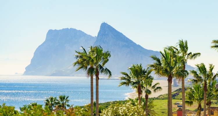 Palmbomen langs een zonnige kustlijn met een prominente rotsformatie op de achtergrond.