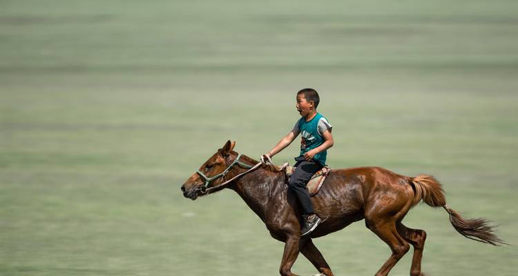 La Mongolie dans tous ses états : Festival Naadam - G Adventures 2