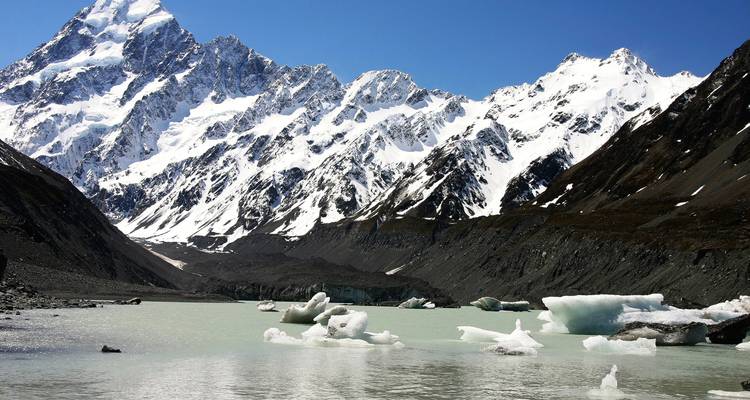 Premium - Ultimate South Island - Wild Kiwi 2