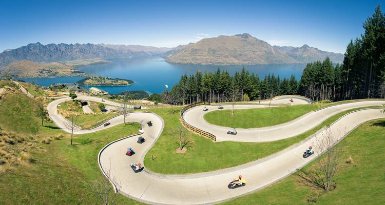 Premium - Ultimate South Island - Wild Kiwi 6