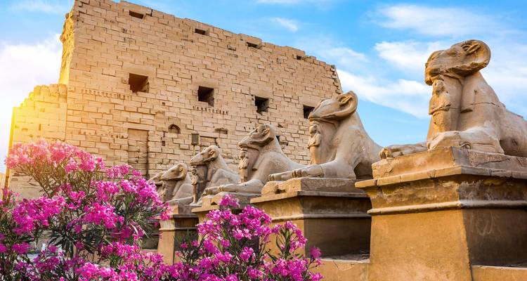 Paquete económico de 13 días por tierra en Egipto - Beyond The Nile Tours 10