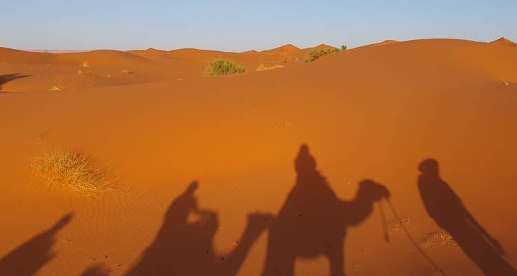 6 Days tour from Marrakech to Tangier visiting Sahara Desert, Fes and Chefchaouen - Morocco Explore Tours 2