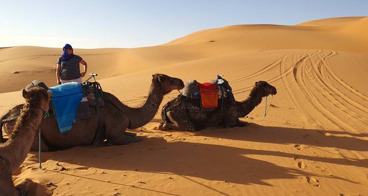 6 Days tour from Marrakech to Tangier visiting Sahara Desert, Fes and Chefchaouen - Morocco Explore Tours 8