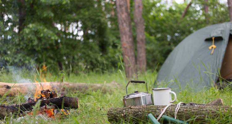 From Iquitos: 6-Day Amazon Jungle Camping Expedition - Maniti Expeditions 7