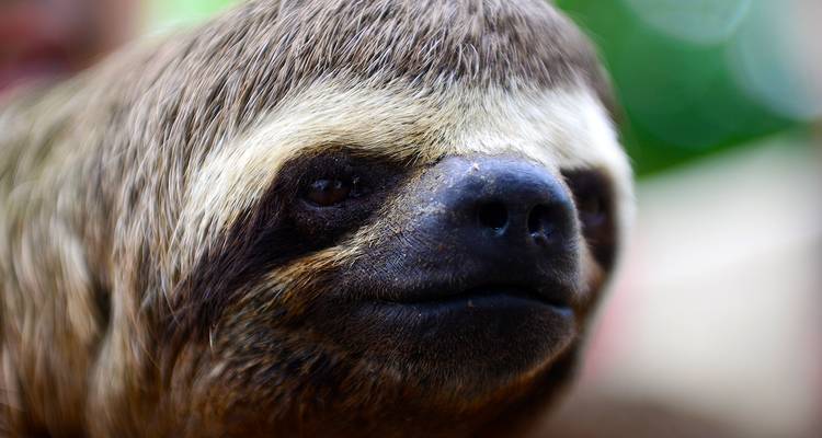 7 jours de camping dans la jungle amazonienne - Maniti Expeditions 4
