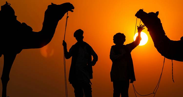 La foire de Pushkar : Une visite culturelle et patrimoniale - Vijay India Tours 4