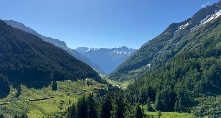 French Alps, Alpe d’Huez Tour #FrenchCols Premium Guided Tour (Advanced Level) - Pedalquest Tours 6