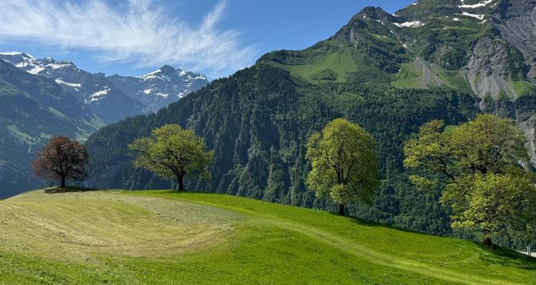 French Alps, Alpe d’Huez Tour #FrenchCols Premium Guided Tour (Advanced Level) - Pedalquest Tours 9