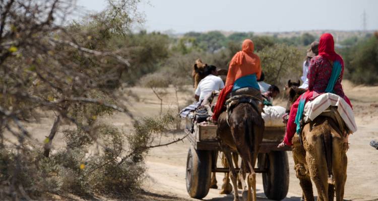 Des gens sur des chameaux voyageant à travers un paysage désertique.