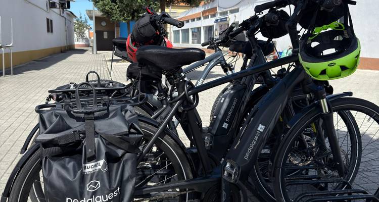 A row of rental bicycles parked on a street.