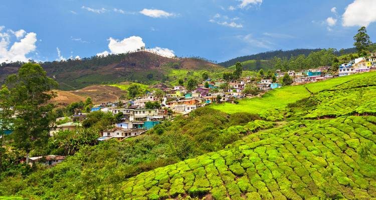 Circuit de luxe au Kerala 8 jours - Golden Triangle India Tours 3