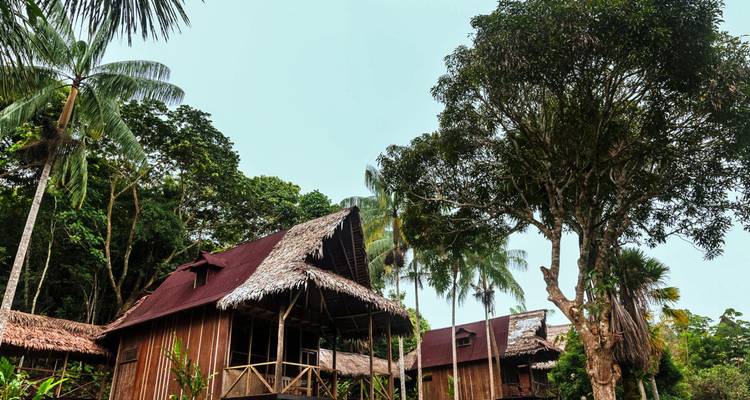 5-day Pacaya Samiria National Reserve Lodge - Tangol Tours 4