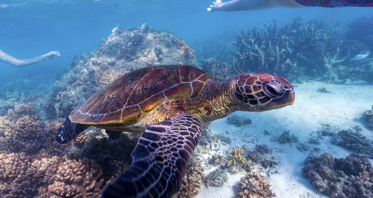 Active Escape Expedition - WA NT TOURS 9