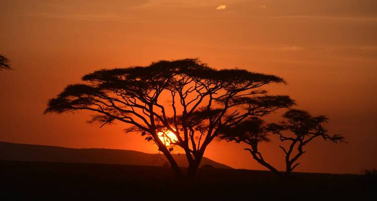 Safari en albergue de 3 días en Tanzania - Kilimanjaro Wonders Expedition Safari 4