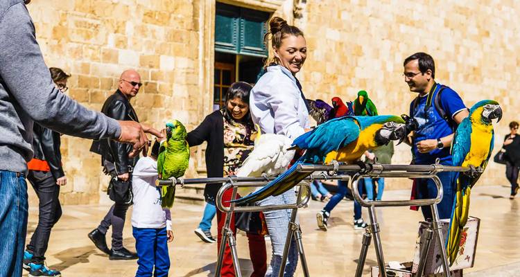 Toeristen interageren met felgekleurde papegaaien op stokken in een zonnig stenen plein.