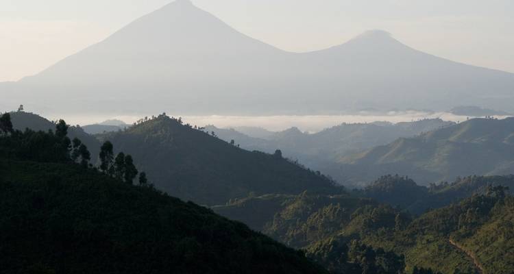 2 Days Uganda Gorilla Trekking Via Kigali - Rwanda Eco Company and Safaris  3