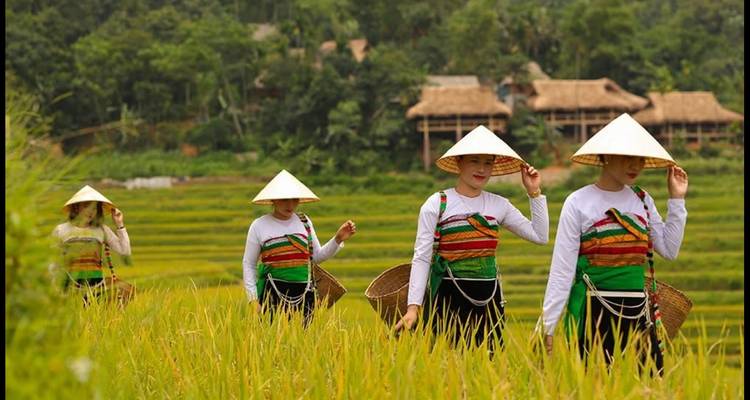9-Day North Vietnam Adventure: A Perfect Blend of Culture, Nature & Adventure - Vietnam Allure Travel 2