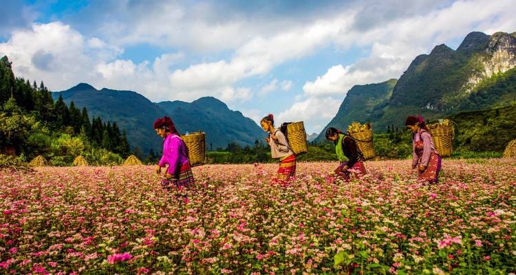 Viet Nam Nord Aventure 5 jours 4 nuits Exploration des boucles Hanoi - Ha Giang - Go Asia Travel 7