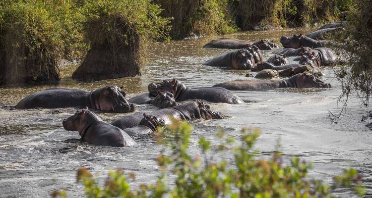 3 días Comfort plus (Safari Serengeti y Ngorongoro) - Kilimanjaro Wonders Expedition Safari 2